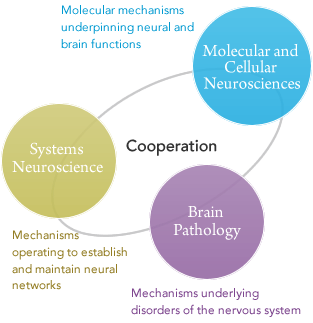 Areas of study of each department, and educational organizational structure